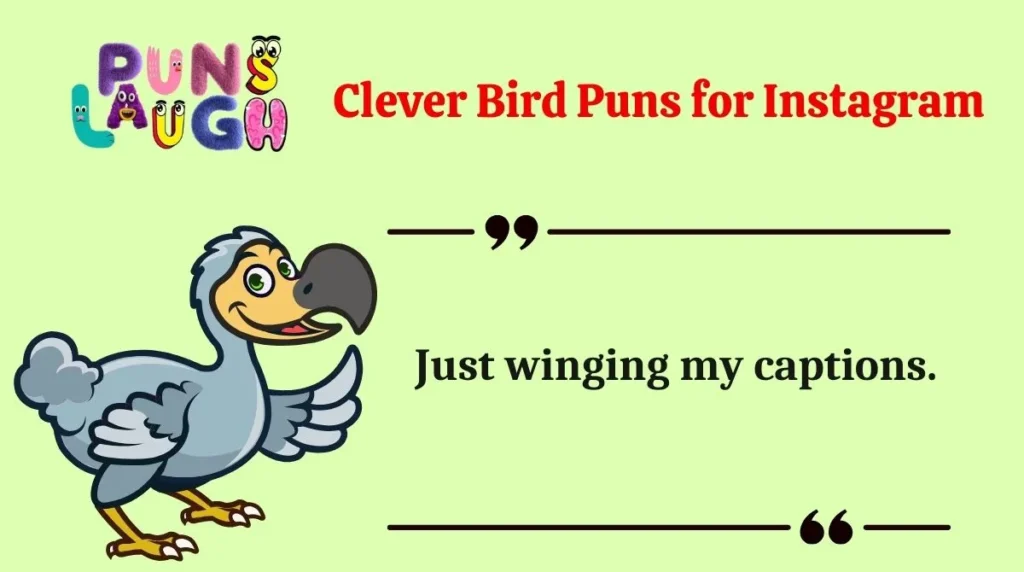 Clever Bird Puns for Instagram