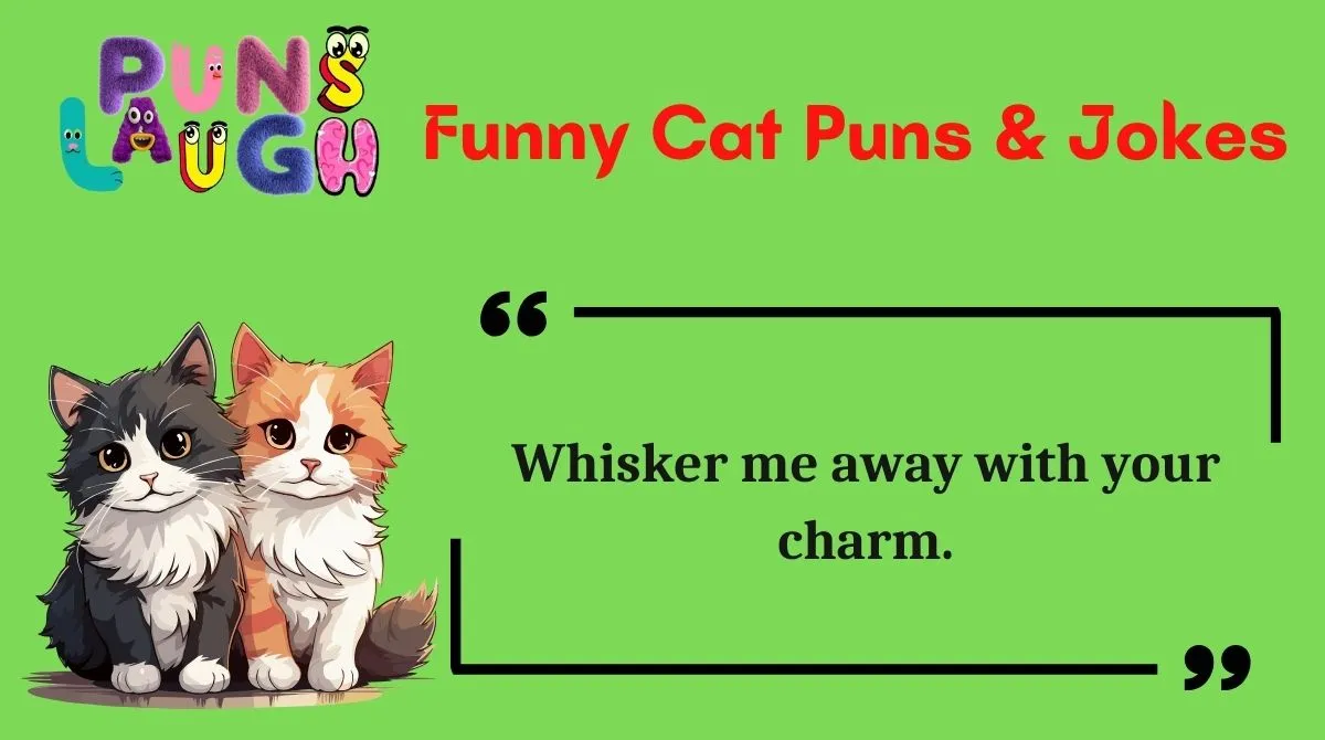 Funny Cat Puns & Jokes