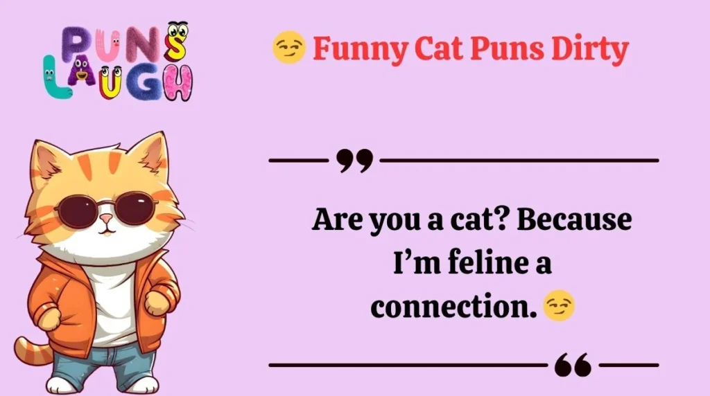 Funny Cat Puns Dirty