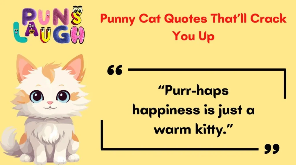 Punny Cat Quotes That’ll Crack You Up