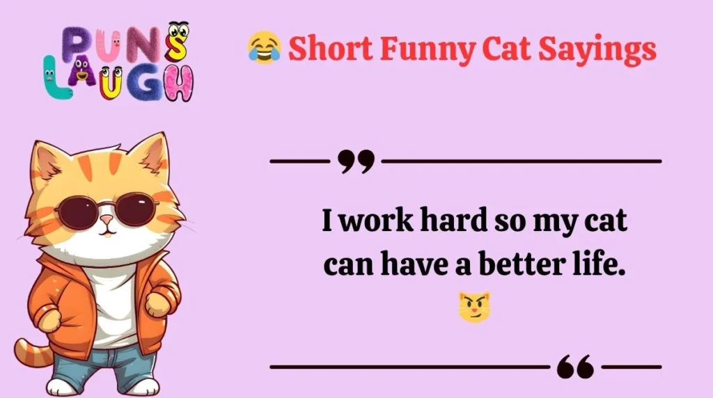 Short Funny Cat Sayings