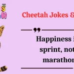 Cheetah Jokes & Puns
