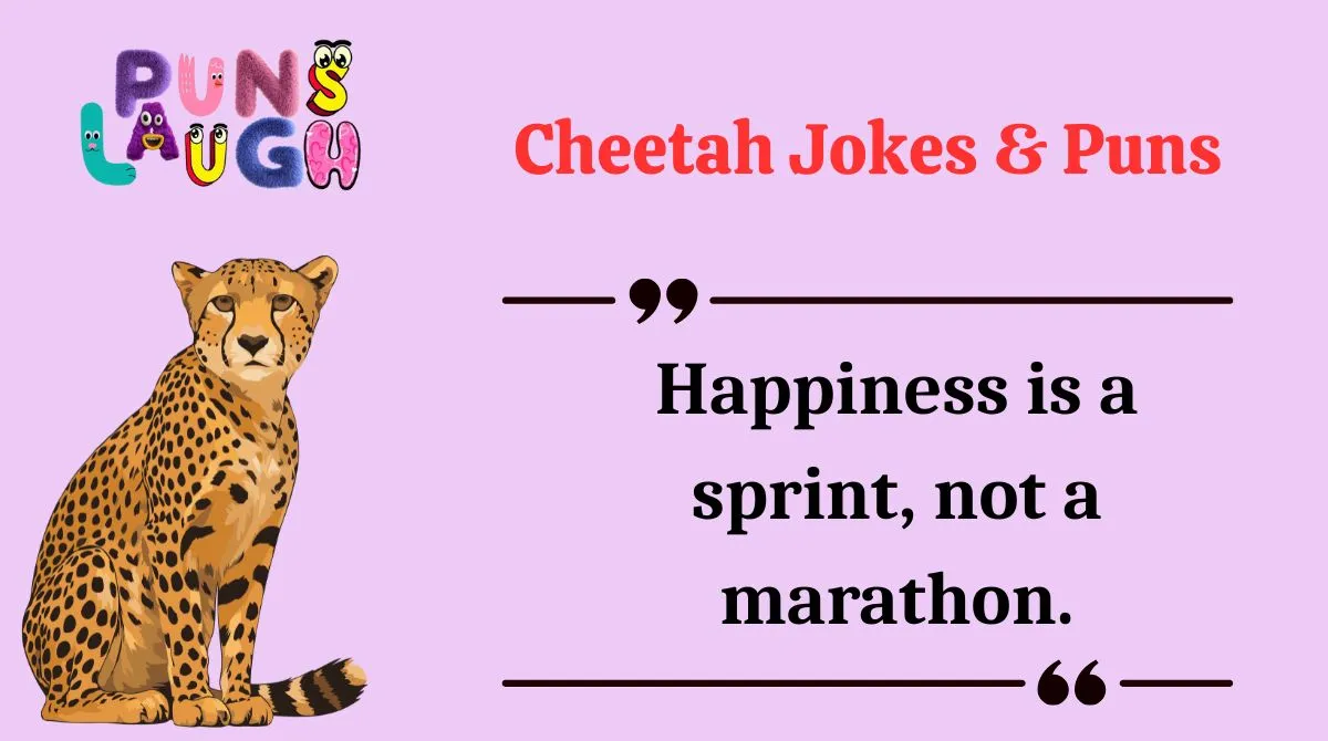 Cheetah Jokes & Puns