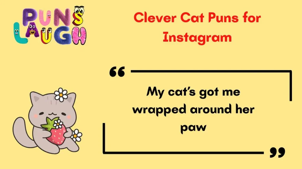 Clever Cat Puns for Instagram