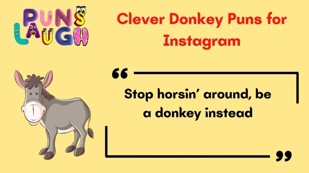 Clever Donkey Puns for Instagram