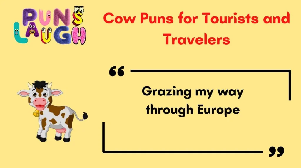 Cow Puns for Tourists and Travelers