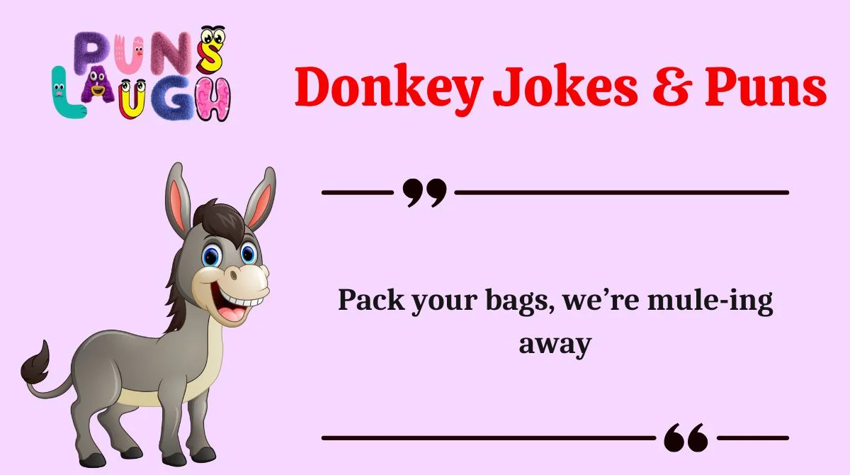 Donkey Jokes & Puns