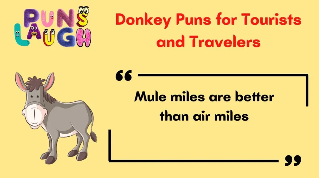 Donkey Puns for Tourists and Travelers
