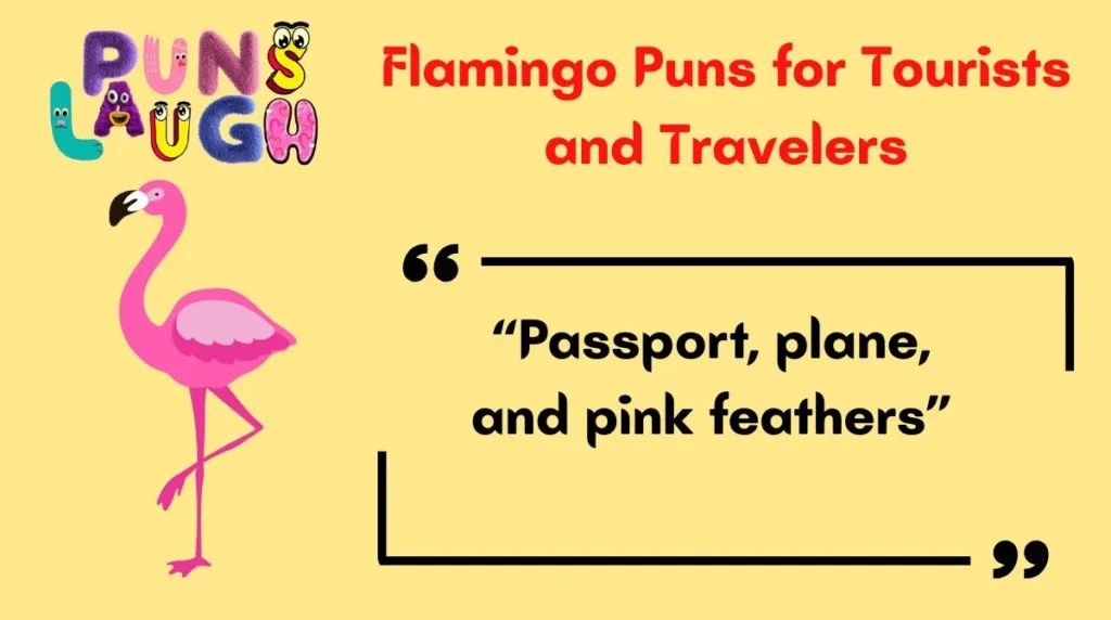 Flamingo Puns for Tourists and Travelers