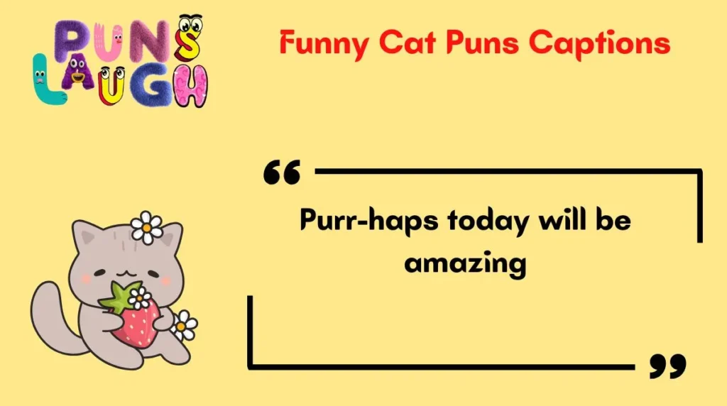 Funny Cat Puns Captions