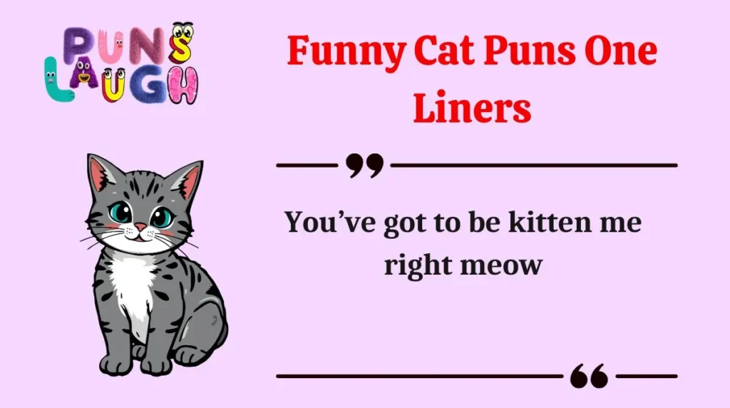 Funny Cat Puns One Liners