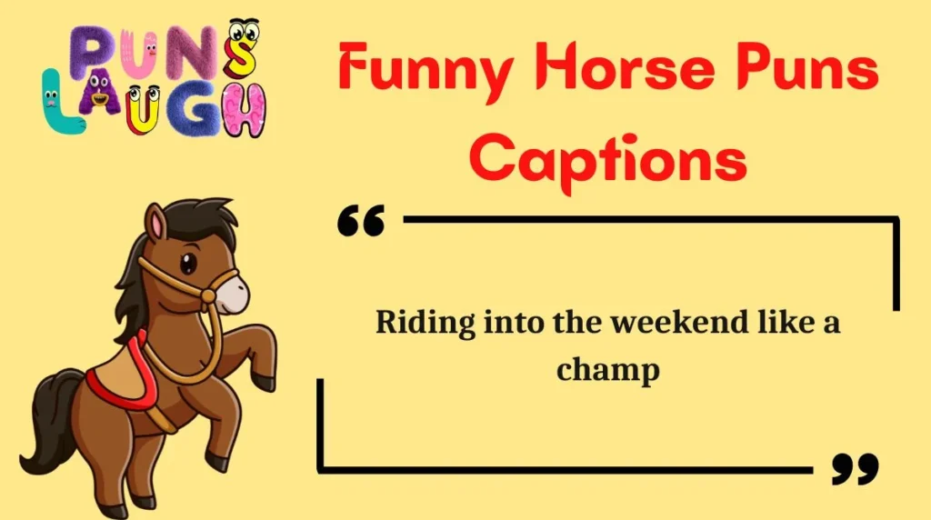Funny Horse Puns Captions