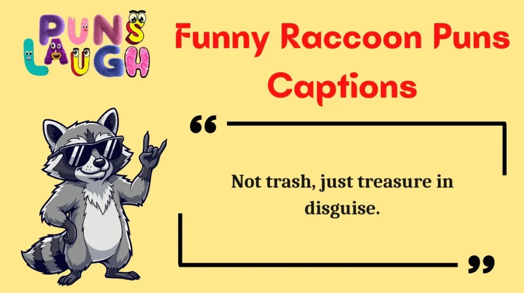 Funny Raccoon Puns Captions