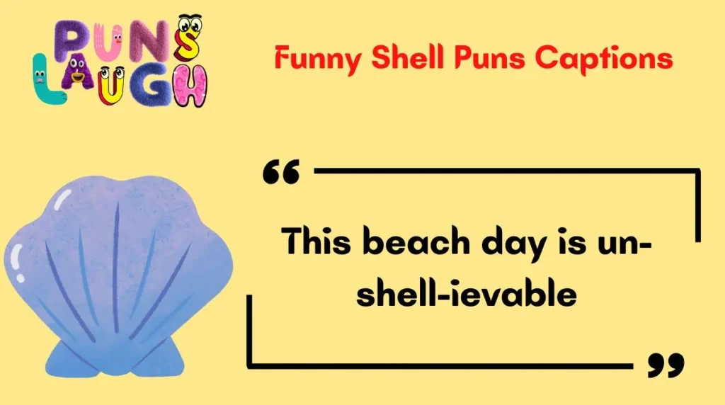 Funny Shell Puns Captions