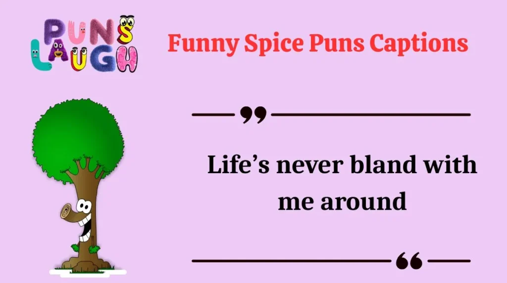 Funny Spice Puns Captions