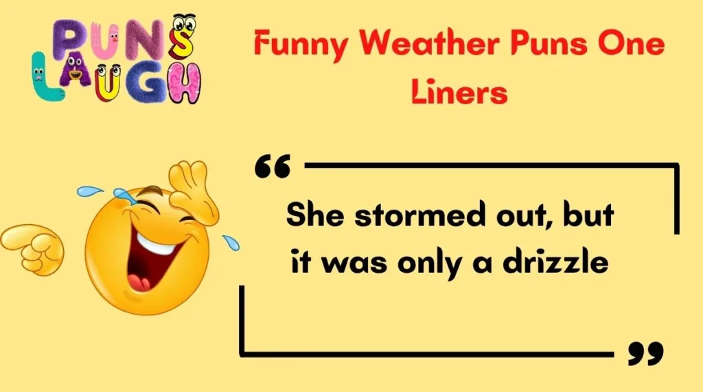 Funny Weather Puns One Liners