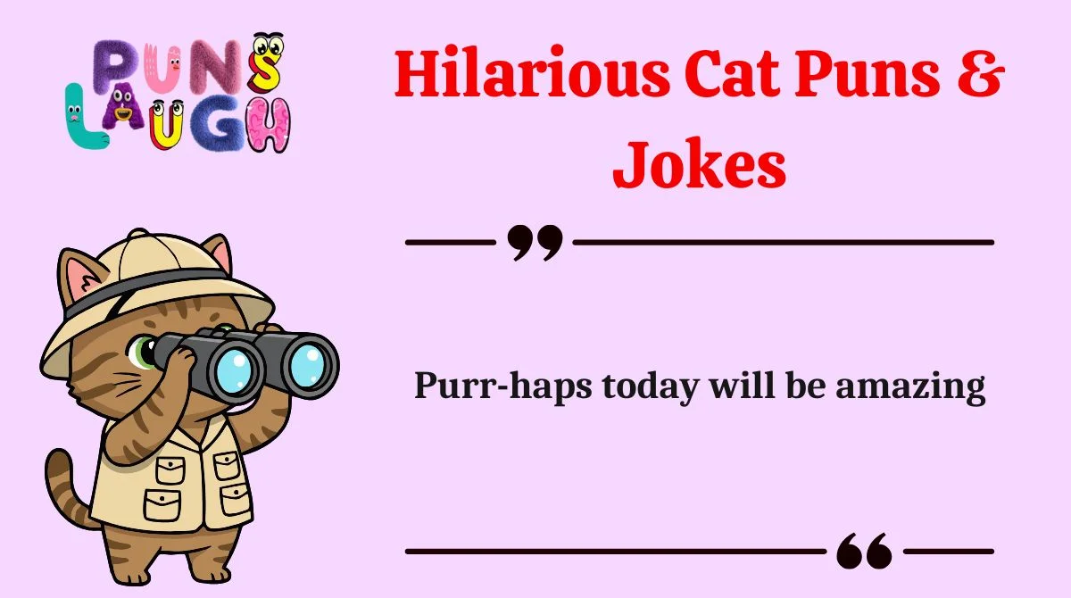 Hilarious Cat Puns & Jokes