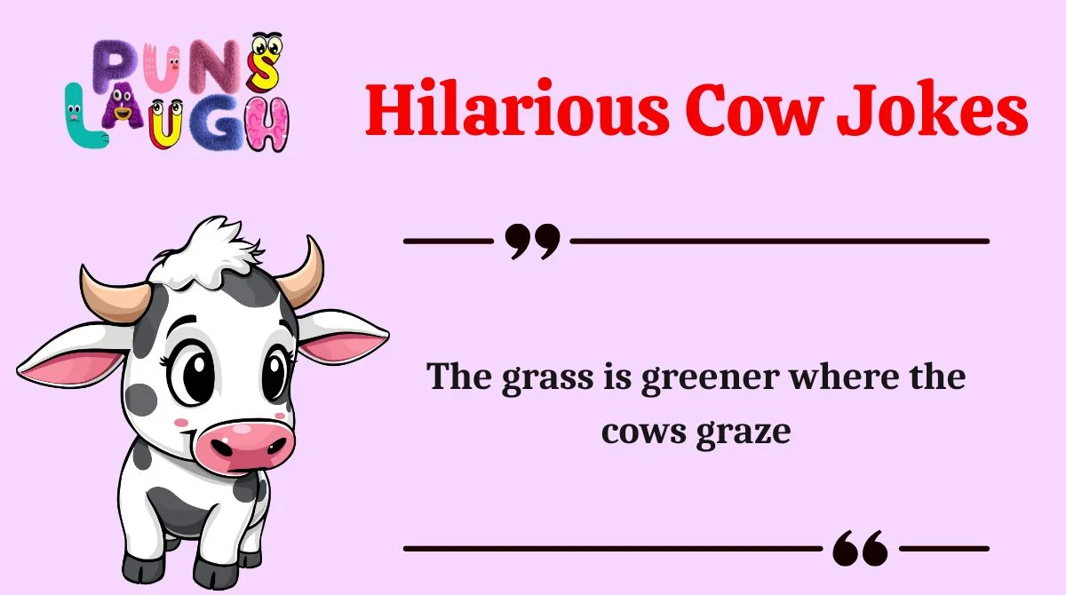 Hilarious Cow Jokes