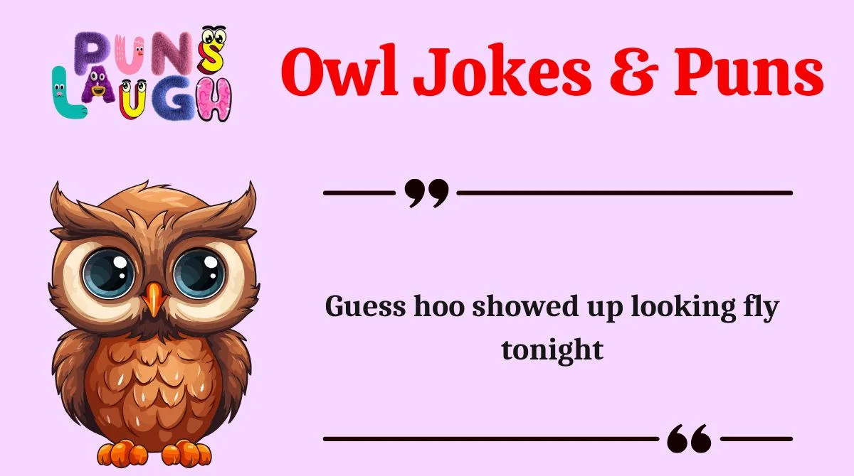 Owl Jokes & Puns