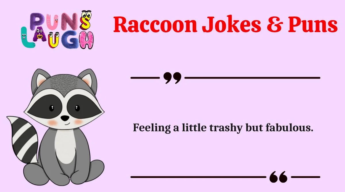 Raccoon Jokes & Puns