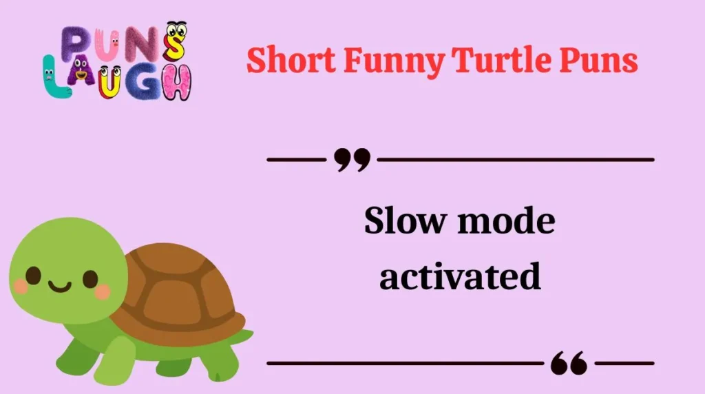 Short Funny Turtle Puns