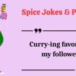 Spice Jokes & Puns