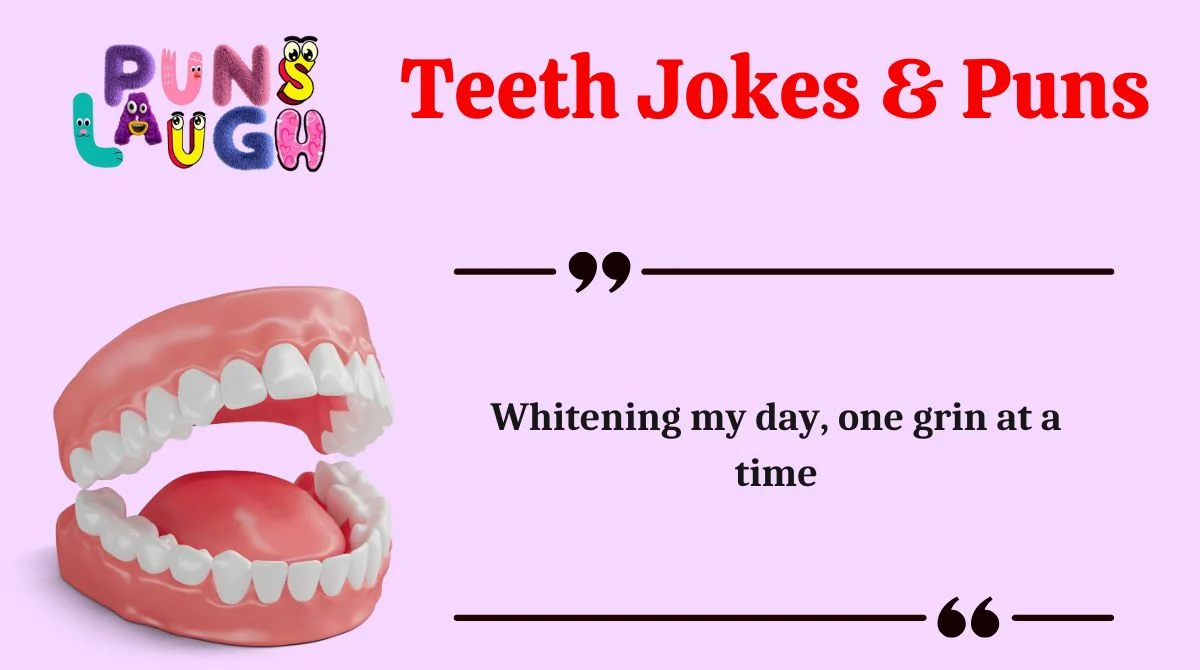 Teeth Jokes & Puns