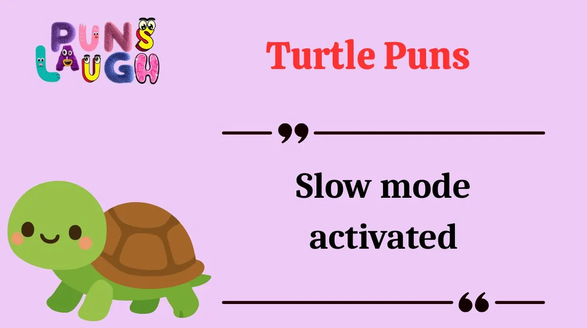 Turtle Puns