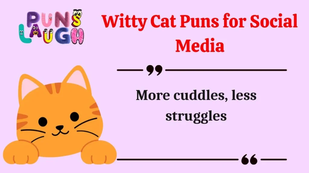 Witty Cat Puns for Social Media