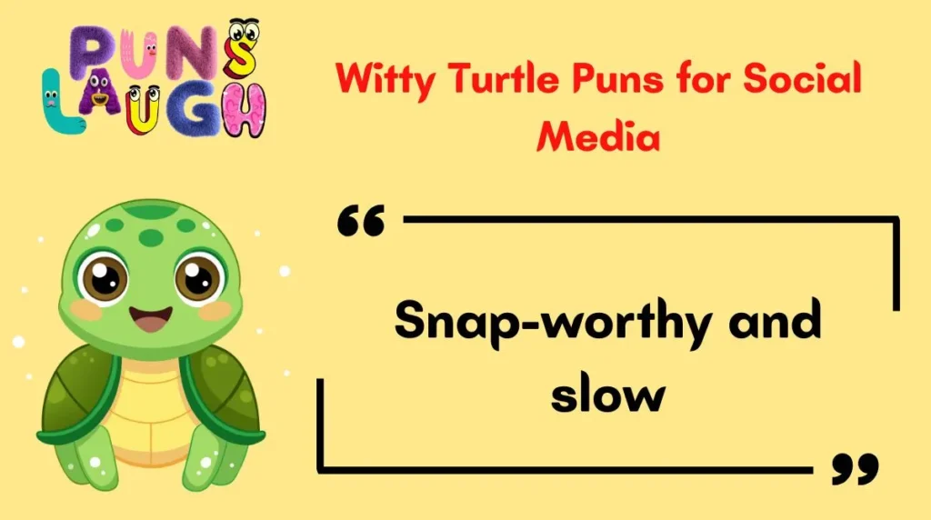 Witty Turtle Puns for Social Media