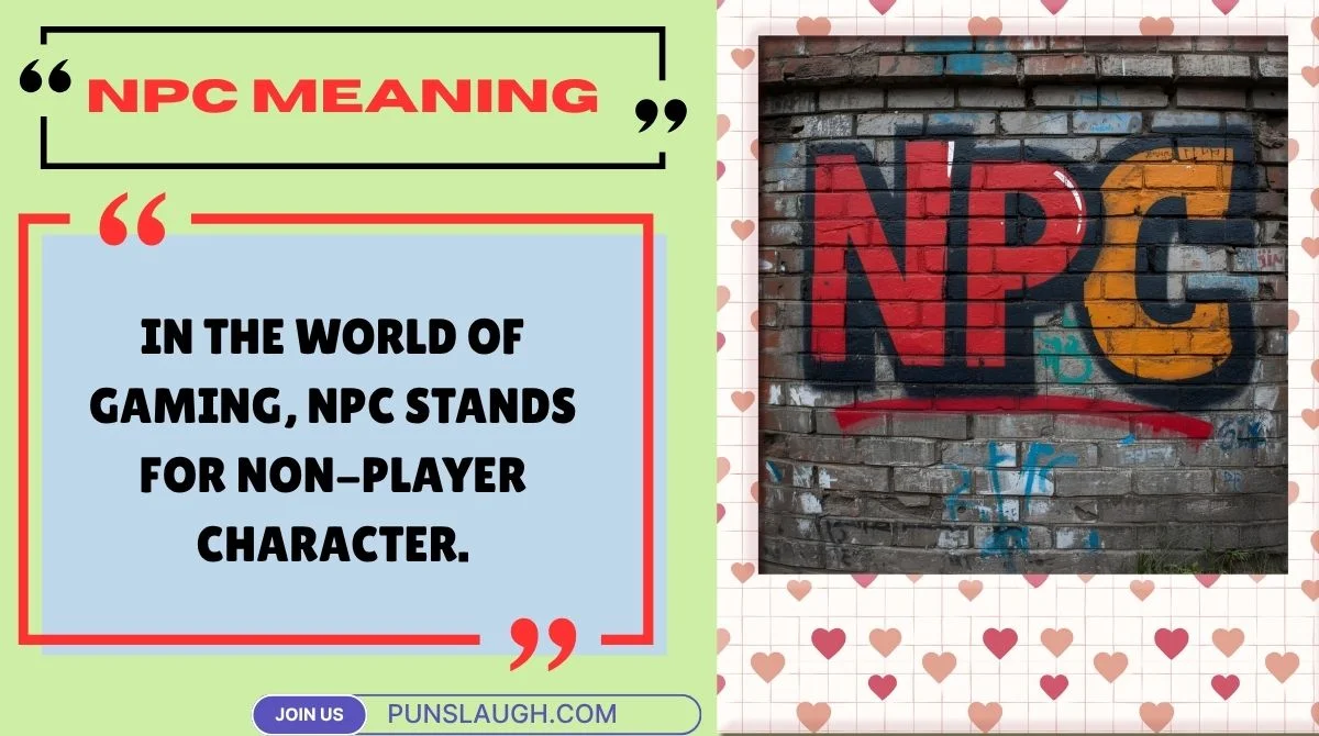 NPC Meaning