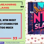 NTM Meaning Slang