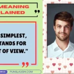 POV Meaning Explained
