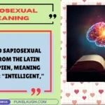 Sapiosexual Meaning