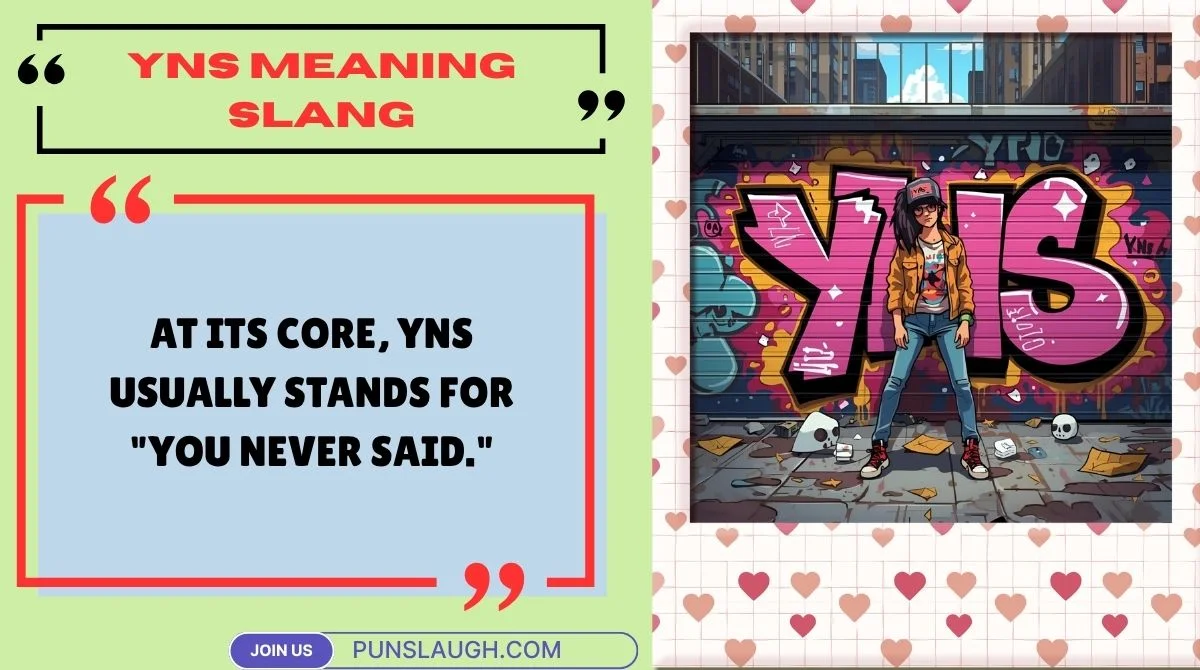 YNS Meaning Slang